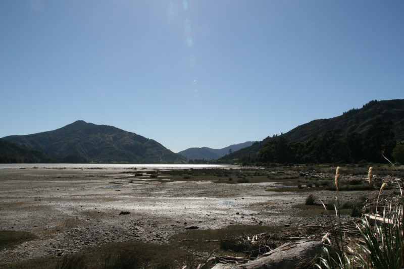 Nieuw-Zeeland 2011 - 0965